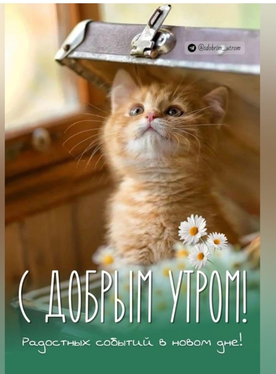 С ДОБРЫМ УТРОМ!
Радостных событий в новом дне!