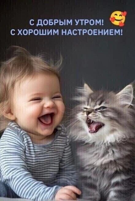 С ДОБРЫМ УТРОМ! С ХОРОШИМ НАСТРОЕНИЕМ!