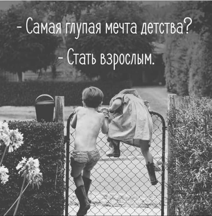 - Самая глупая мечта детства? - Стать взрослым.