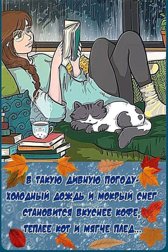 В такую дивную погоду холодный дождь и мокрый снег становится вкуснее кофе, тепло и мягче плед...