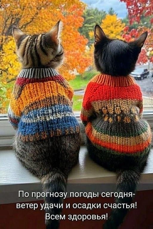 По прогнозу погоды сегодня- ветер удачи и осадки счастья! Всем здоровья!