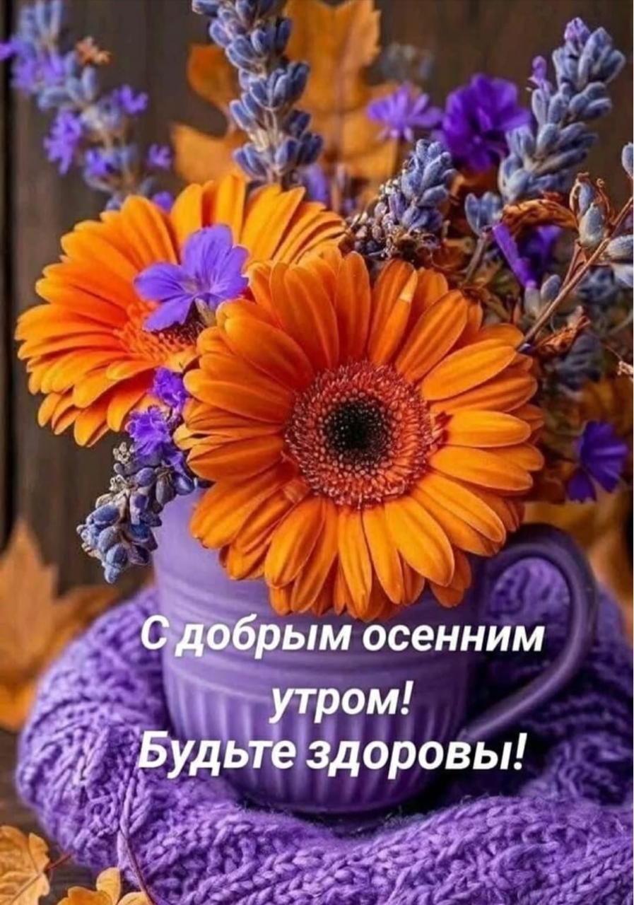 С добрым осенним утром! Будьте здоровы!