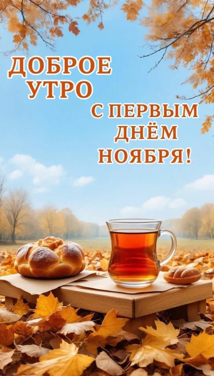 Доброе утро с первым днём ноября!