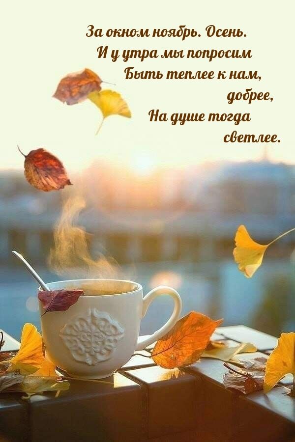 За окном ноябрь. Осень. И утрa мы попросим быть теплее к нам, добрее, на душе тогда светлее.