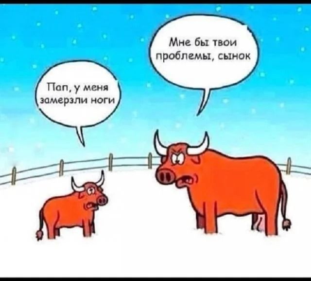 Пап, у папы замерзли ноги. Мне бы твои проблемы, сынок.