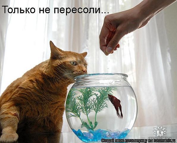 Только не пересоли...