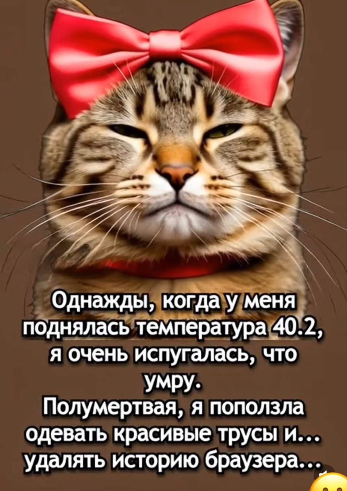 Однажды, когда у меня поднялась температура 40.2, я очень испугалась, что умру. Полумертвая, я поползла одевать красивые трусы и... удалять историю браузера...