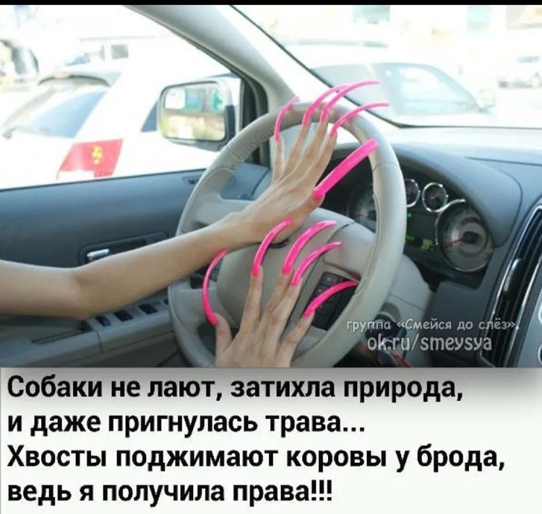 Собаки не лают, затихла природа, и даже пригнулась трава... Хвосты поджимают коровы у брода, ведь я получила права!!!