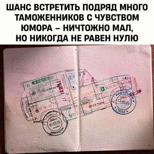 ШАНС ВСТРЕТИТЬ ПОДРЯД МНОГО ТАМOЖЕННИКОВ С ЧУВСТВОМ ЮМОРА – НИЧТОЖНО МАЛ, НО НИКОГДА НЕ РАВЕН НУЛЮ
