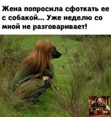 Жена попросила сфоткать ее с собакой... Уже неделю со мной не разговаривает!