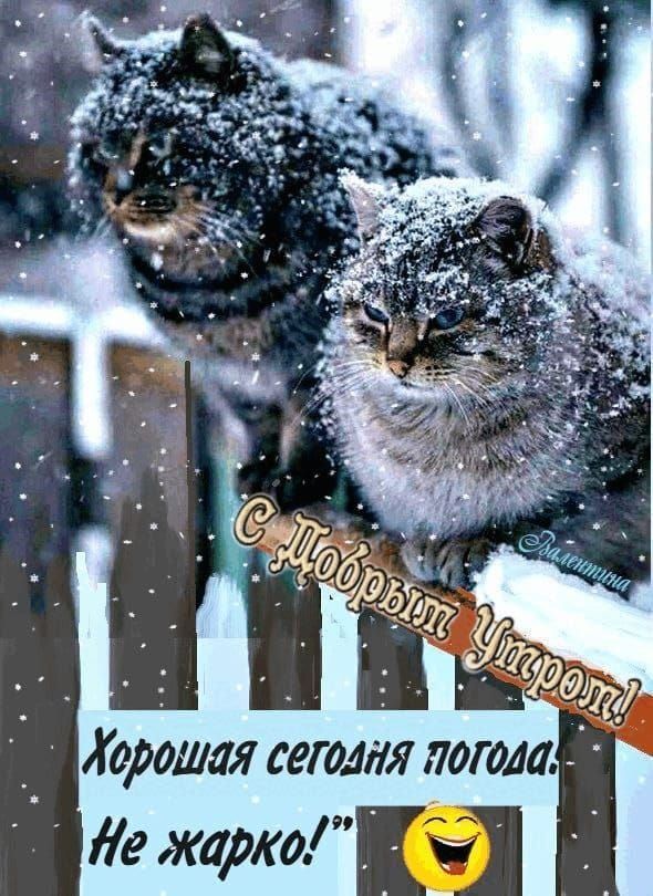 С Новым Годом! Хорошая сегодня погода: Не жарко! 😅