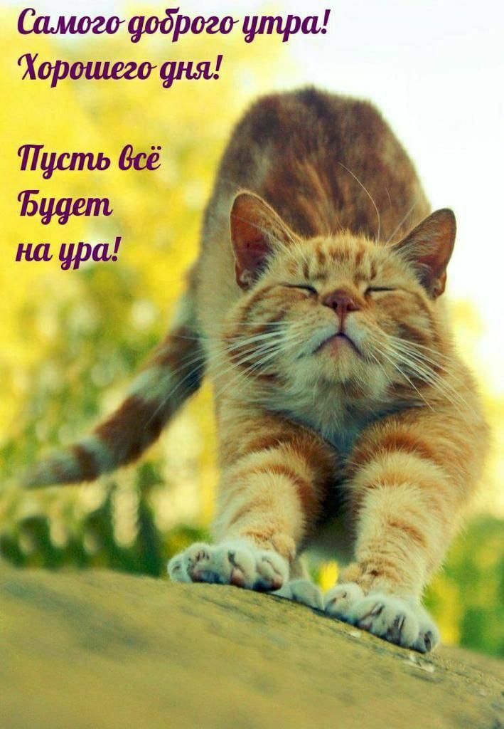 Самого доброго утра! Хорошего дня! Пусть всё будет на ура!
