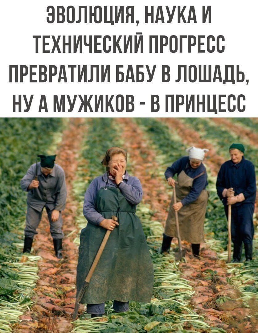 Эволюция, наука и технический прогресс превратили бабу в лошадь, ну а мужиков - в принцесс