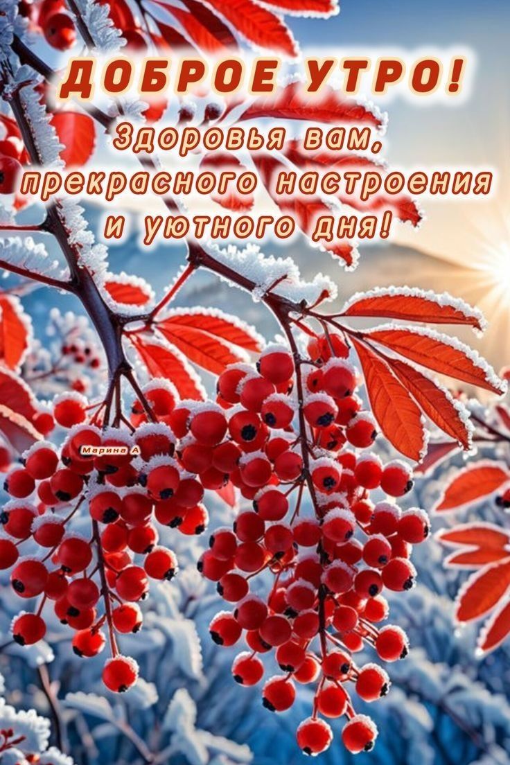 Доброе утро! Здоровья вам, прекрасного настроения и уютного дня!