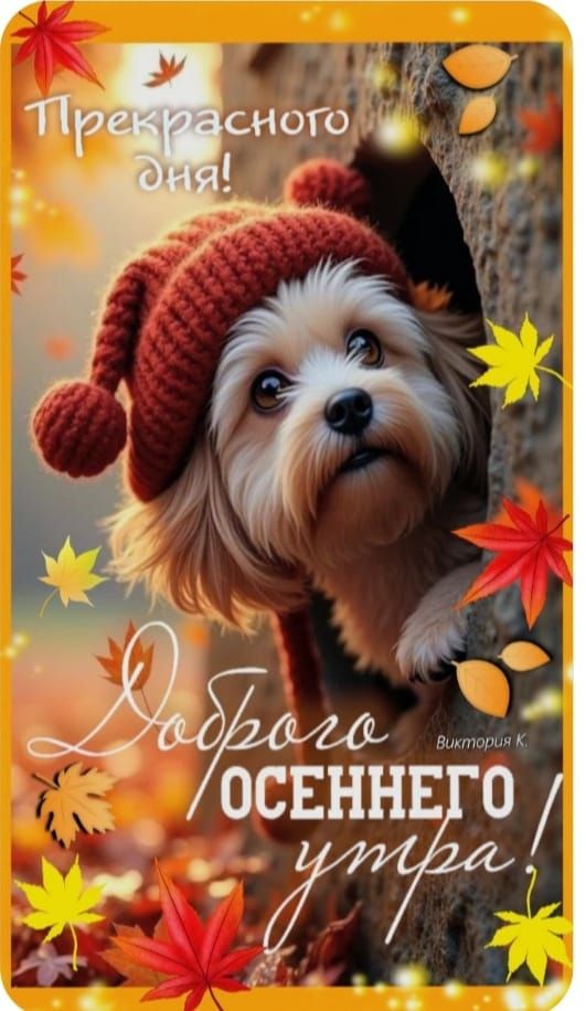 Прекрасного дня! Доброго осеннего утра! Виктория К.