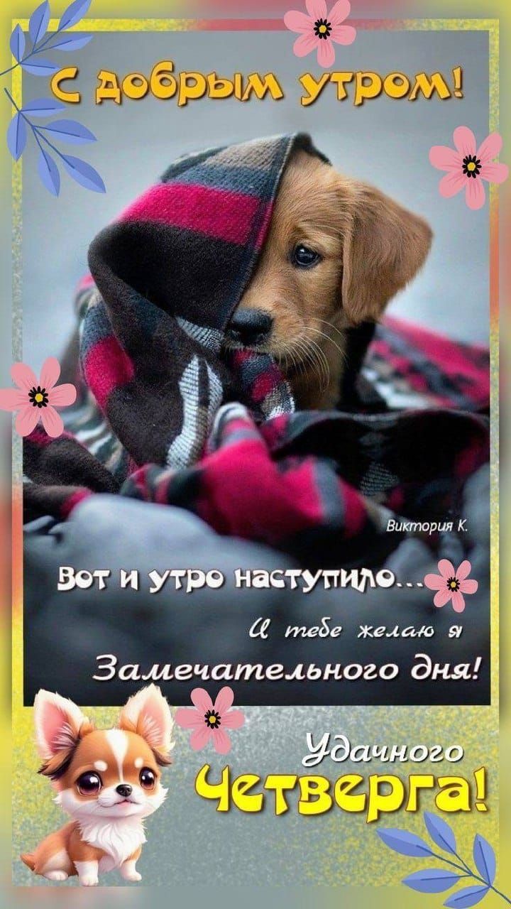 С добрым утром!
Вот и утро наступило...
И тебе желаю я
Замечательного дня!
Удачного Четверга!