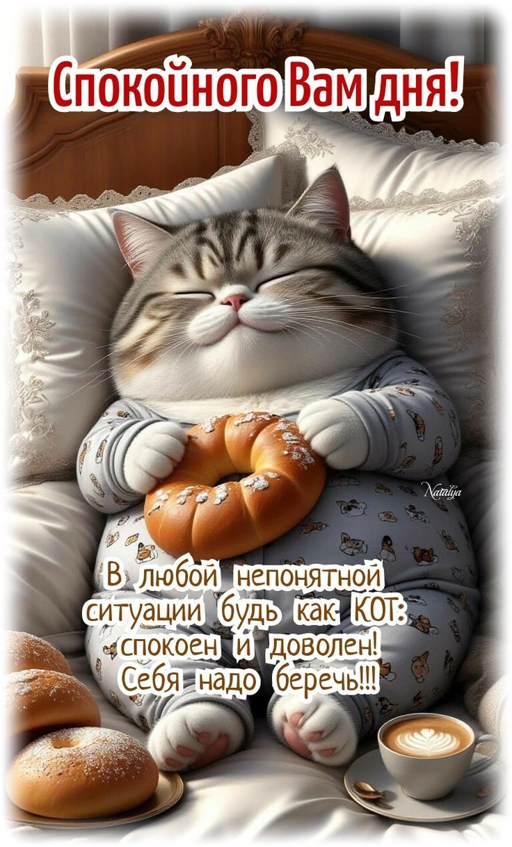 Спокойного Вам дня! В любой непонятной ситуации будь как КОТ: спокойен и доволен! Себя надо беречь!!!