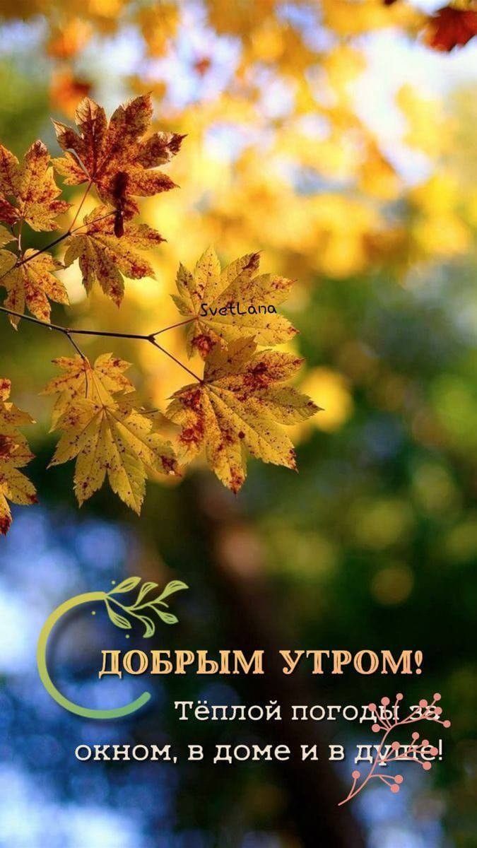 Добрым утром! Тёплой погоды окном, в доме и в душе!