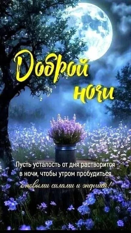 Доброй ночи
Пусть усталость от дня растворится в ночи, чтобы утром пробудиться с новой силой и энергией.