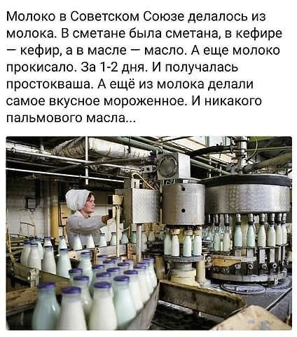 Молоку в Советском Союзе делалось из молока. В сметане была сметана, в кефире — кефир, а в масле — масло. А еще молоко прокисало. За 1-2 дня. И получалась простокваша. А ещё из молока делали самое вкусное мороженое. И никакого пальмового масла...