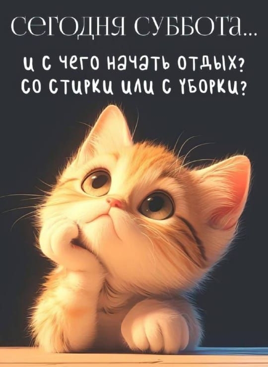 сегодня суббота... и с чего начать отдых? со стирки или с уборки?