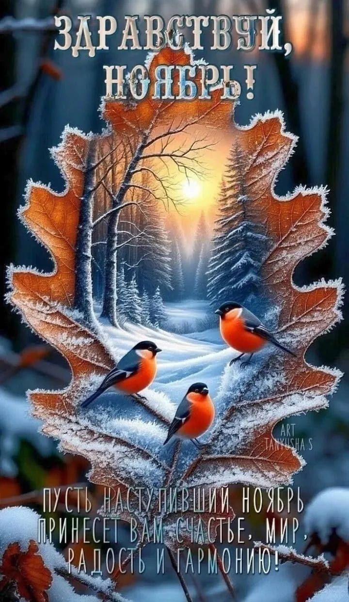 Здравствуй, ноябрь! Пусть наступивший ноябрь принесет вам счастье, мир, радость и гармонию!