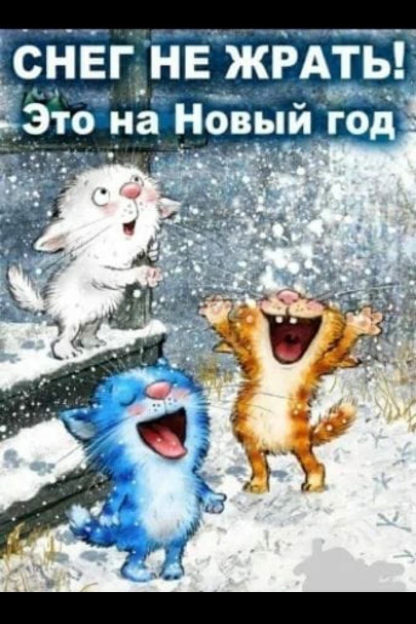 СНЕГ НЕ ЖРАТЬ! Это на Новый год