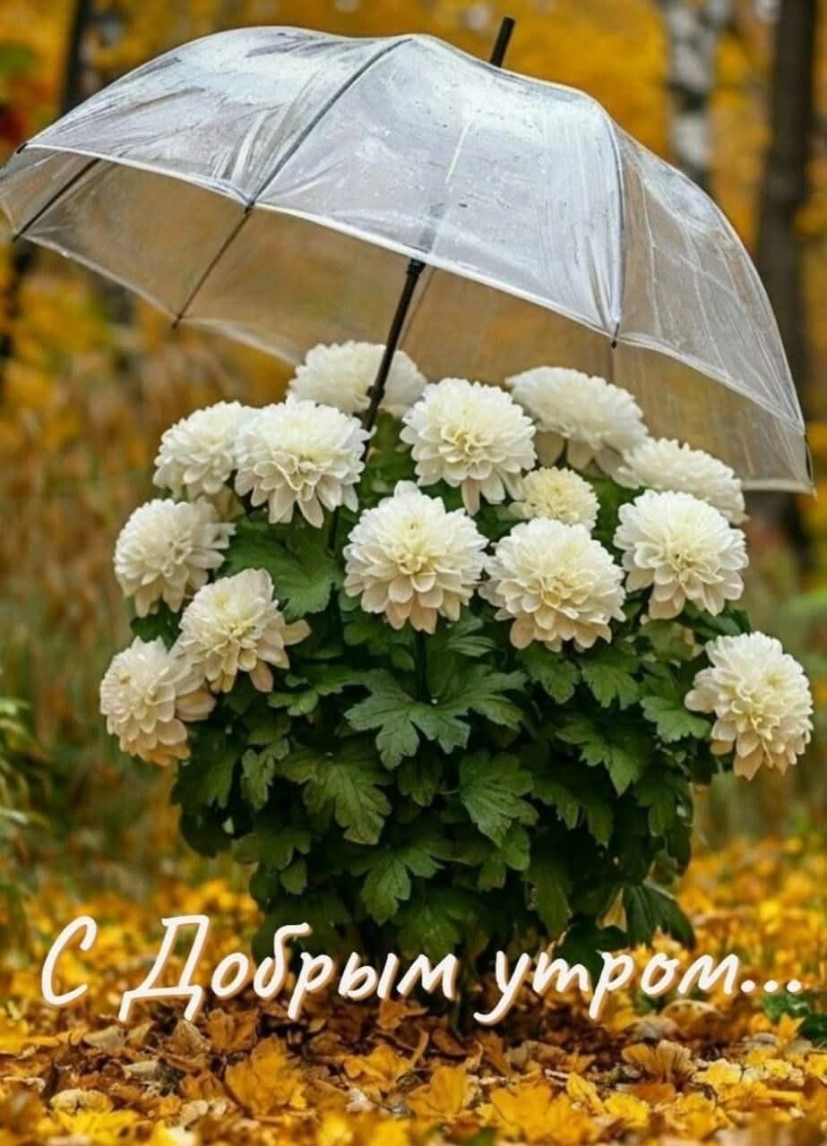 С Добрым утром...