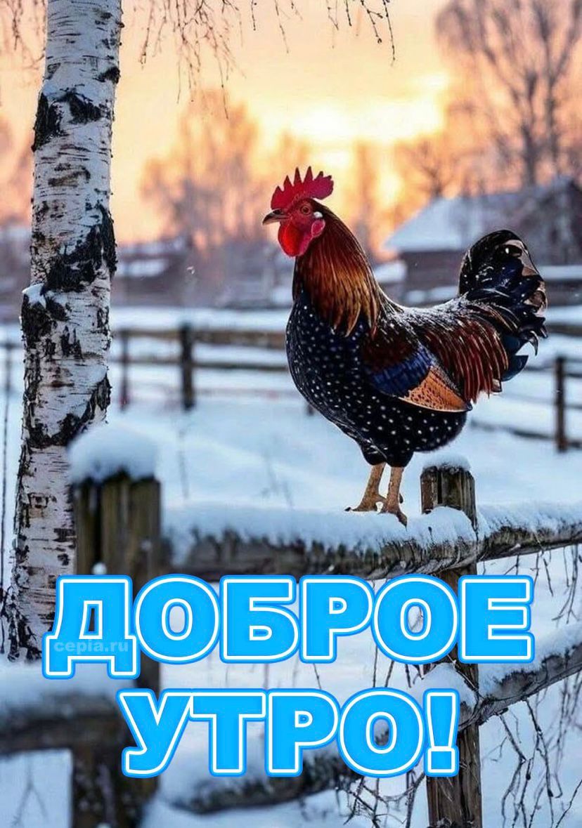 Доброе утро!