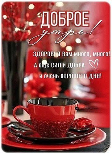 Доброе утро! Здоровья вам много, много! А еще сил и добра и очень хорошего дня!