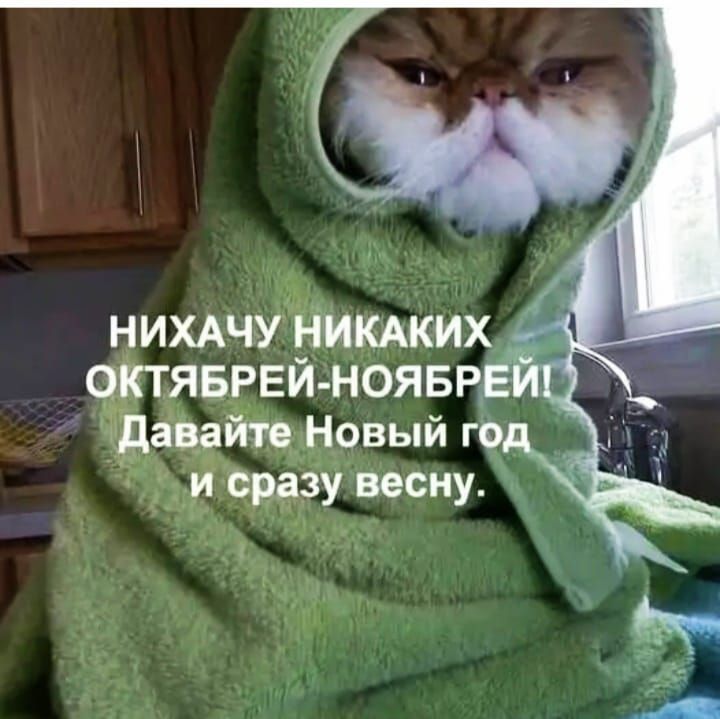 НИХАЧУ НИКАКИХ ОКТЯБРЕЙ-НОЯБРЕЙ! Давайте Новый год и сразу весну.