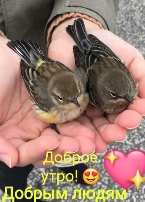 Доброе утро! 😍💖 Добрым людям