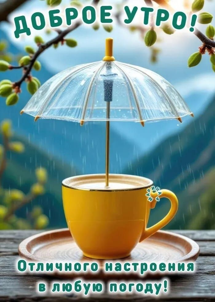 Доброе утро! Отличного настроения в любую погоду!