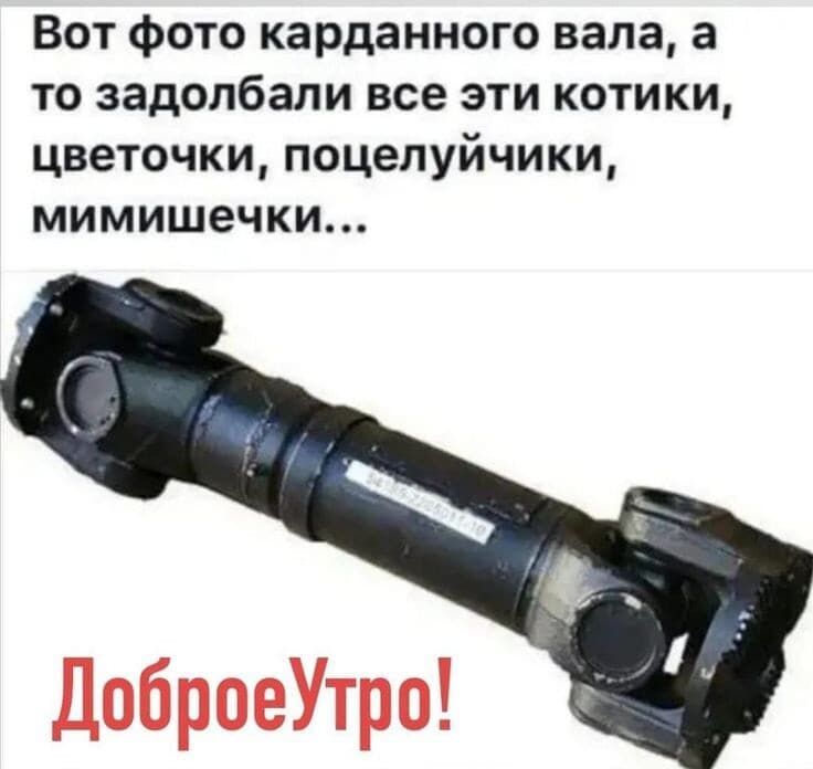 Вот фото каранного вала, а то заzadолбали все эти котики, цветочки, поцелуйчики, мимишечки... ДоброеУтро!