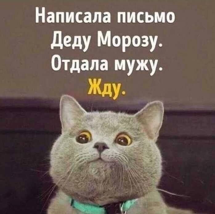Написала письмо Деду Морозу. Отдала мужу. Жду.