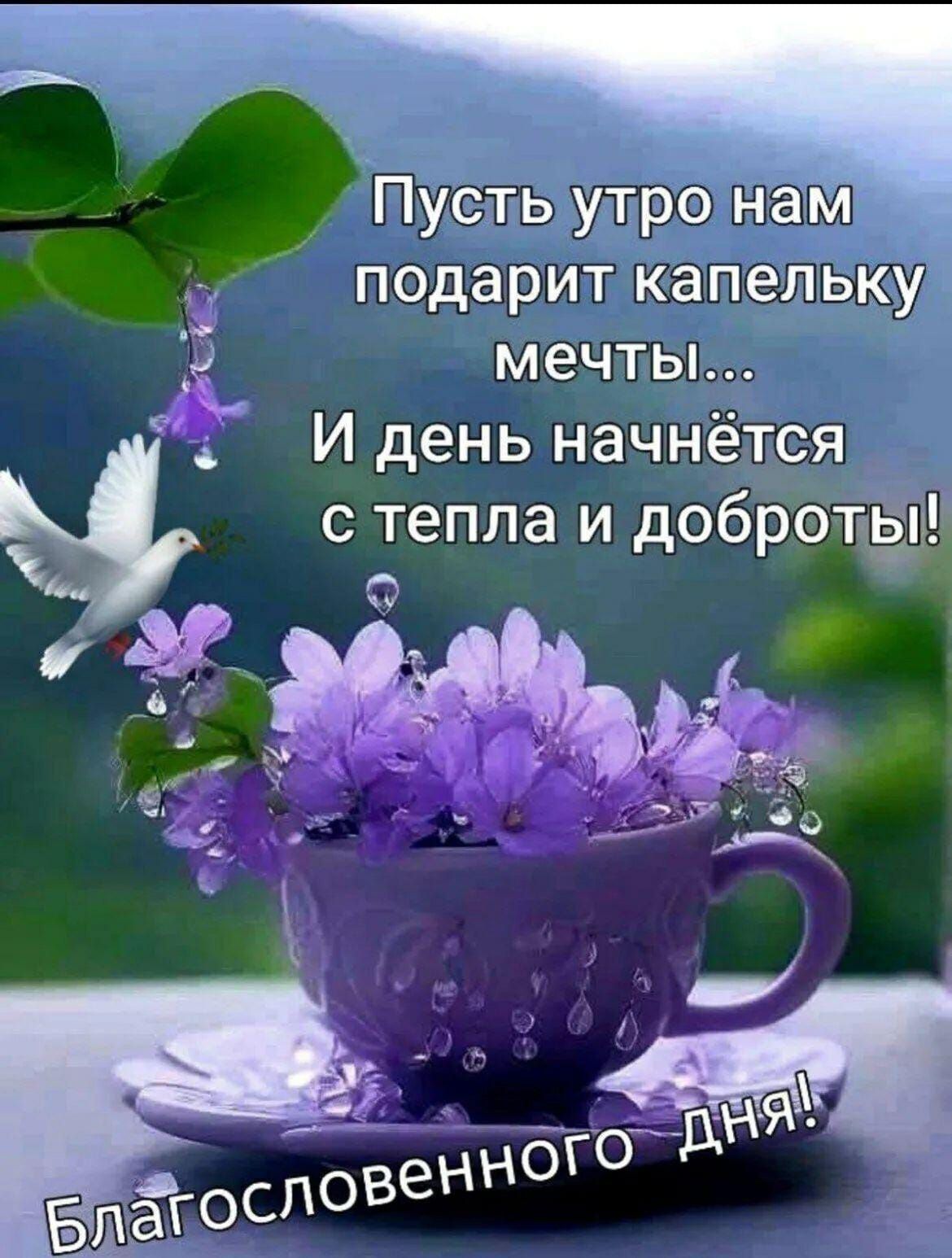 Пусть утро нам подарит капельку мечты... И день начнётся с тепла и доброты! Благословенного дня!