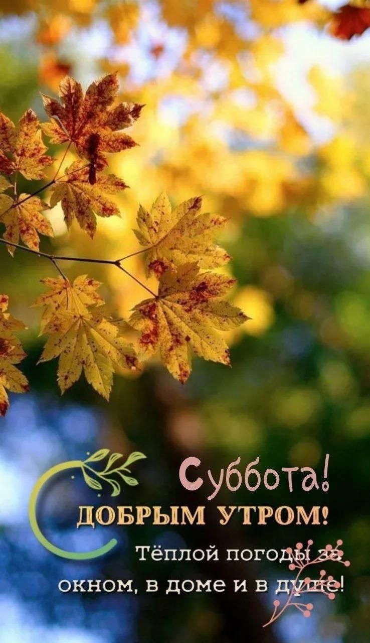 Суббота! ДОБРЫМ УРОМ! Тёплой погоды за окном, в доме и в душе!