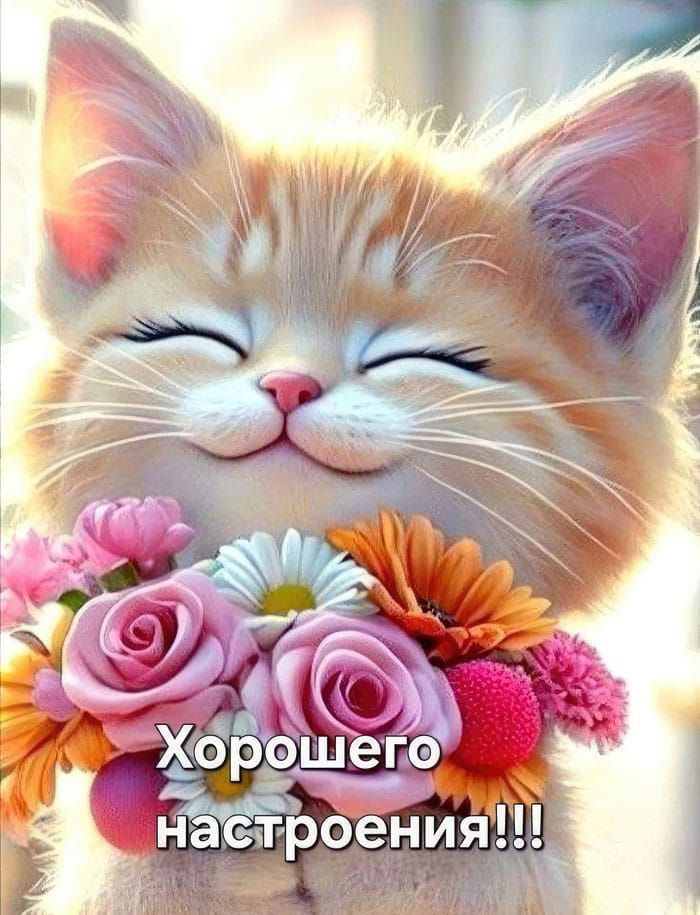 Хорошего настроения!!!