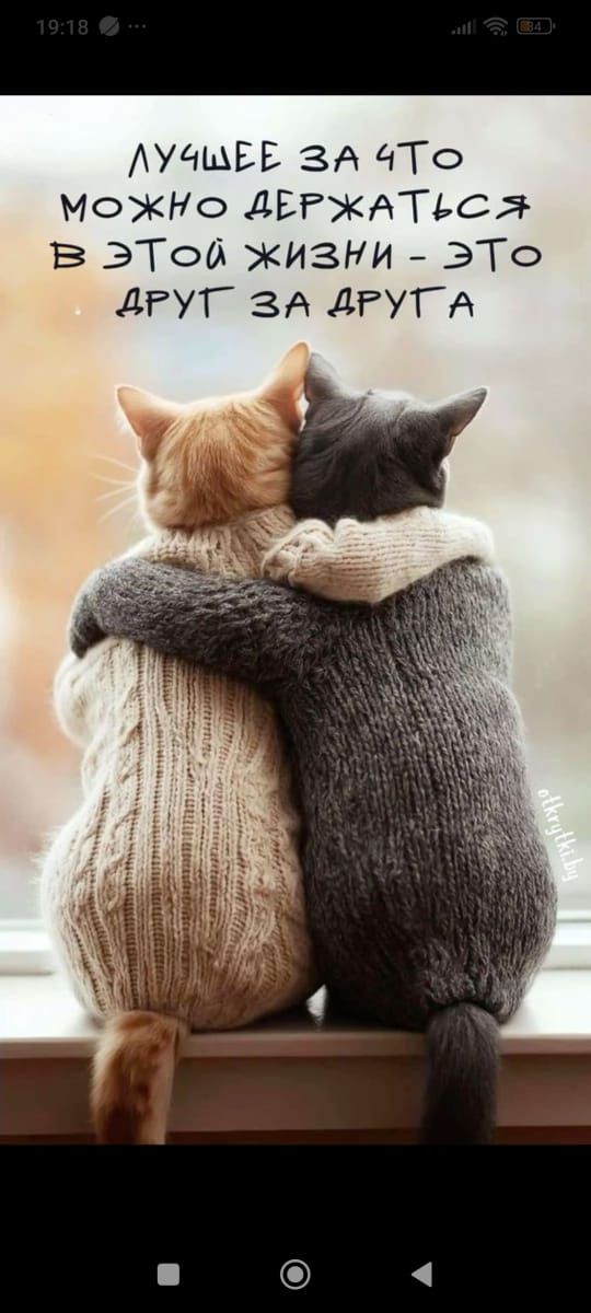ЛУЧШЕЕ ЗА ЧТО МОЖНО ДЕРЖАТЬСЯ В ЭТОЙ ЖИЗНИ - ЭТО ДРУГ ЗА ДРУГОМ