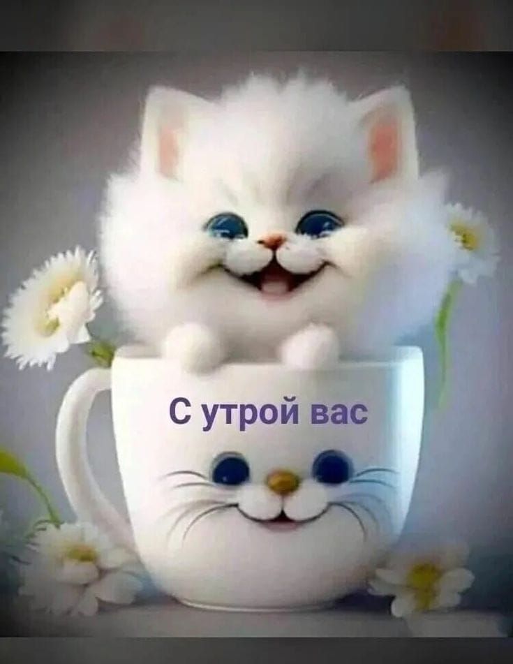 С утрой вас