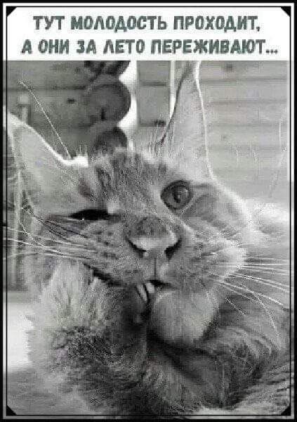 ТУТ МОЛОДОСТЬ ПРОХОДИТ, А ОНИ ЗА ЛЕТО ПЕРЕЖИВАЮТ...