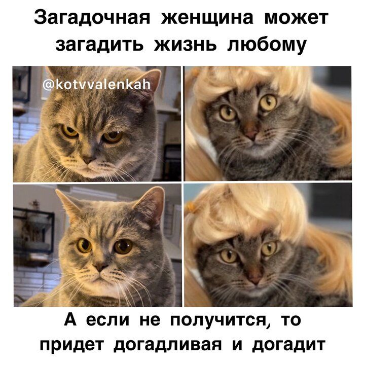 Загадочная женщина может загадить жизнь любому

А если не получится, то придет догадливая и догадит