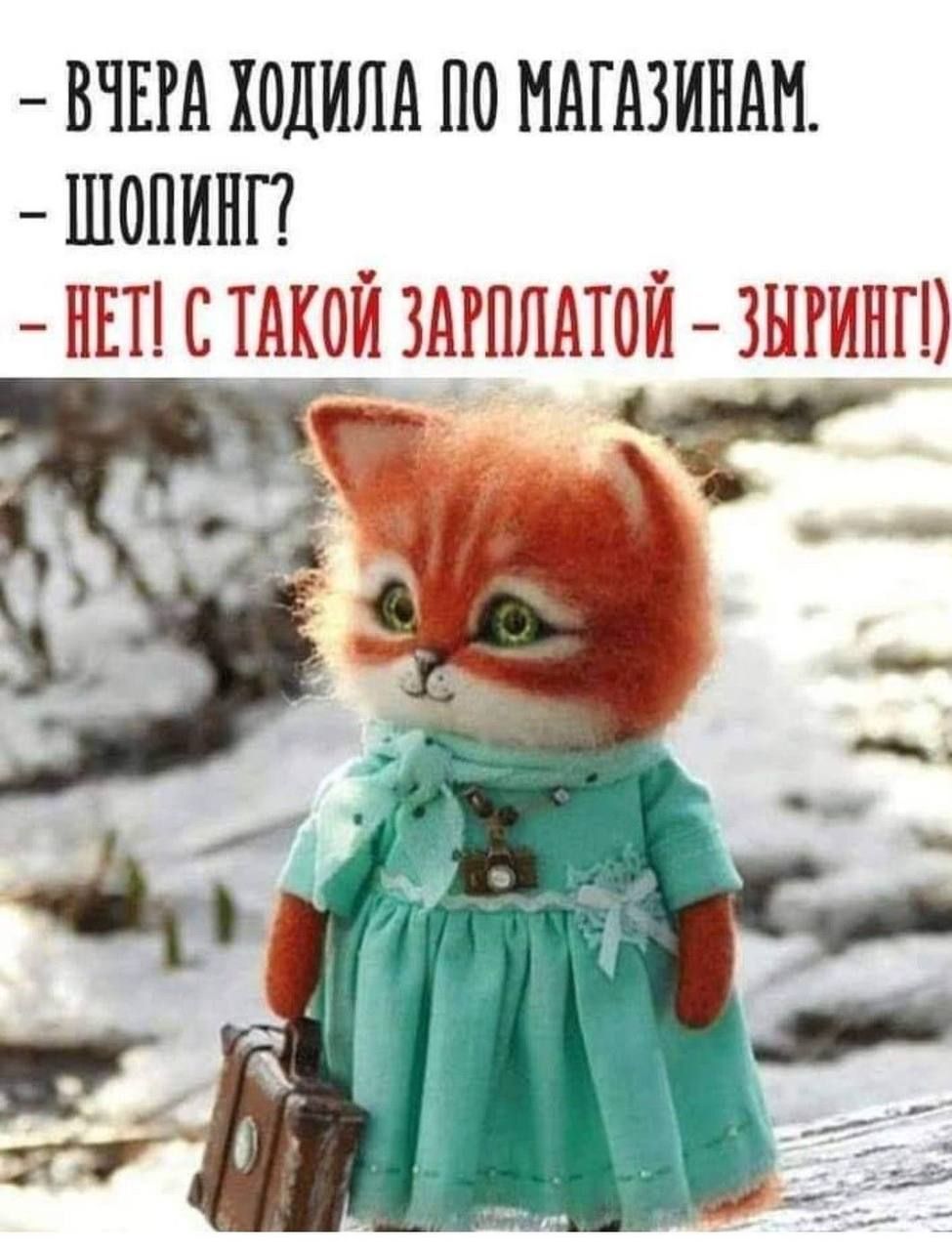 - Вчера ходила по магазинам. - Шопинг? - Нет! С такой зарплатой - зиринг!