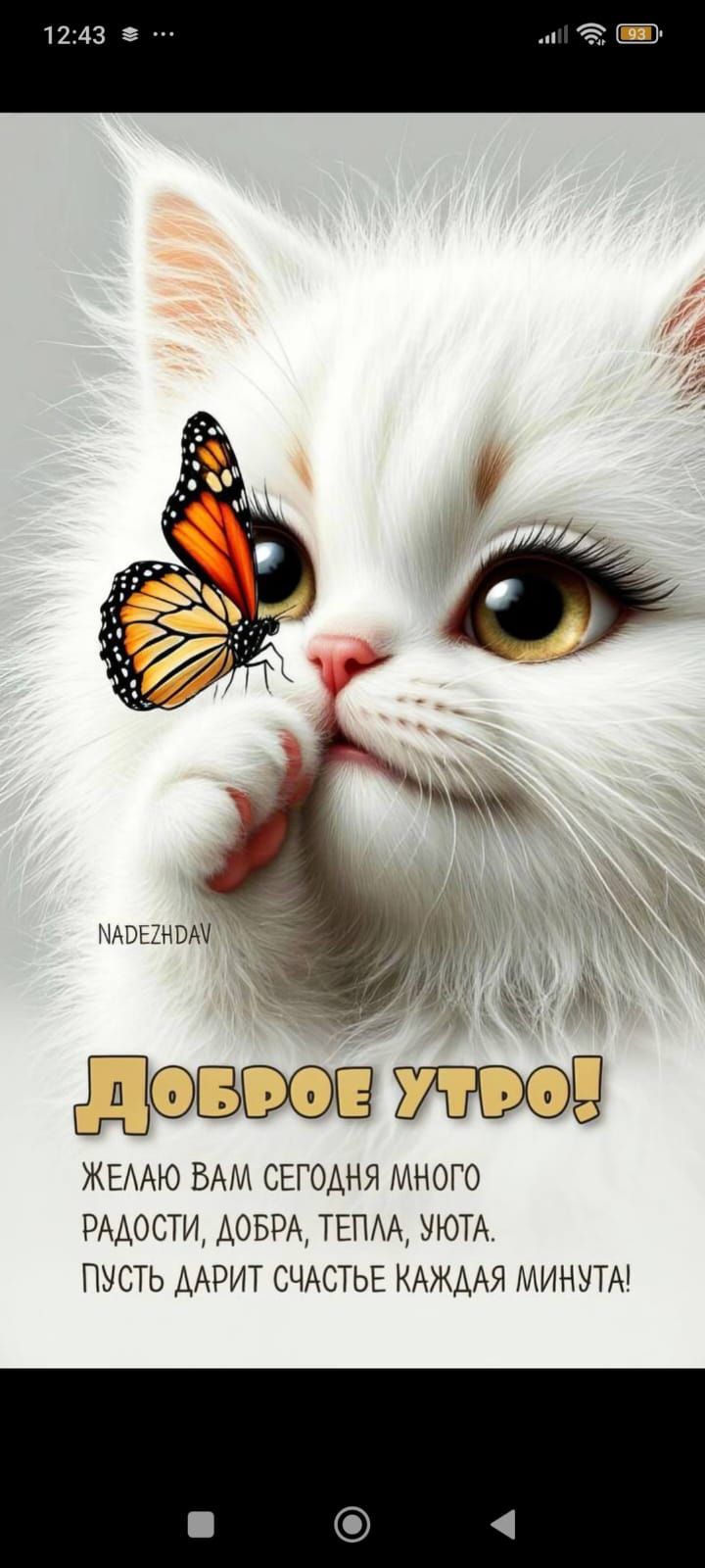 Доброе утро! Желаю вам сегодня много радости, добра, тепла, уюта. Пусть дарит счастье каждая минута!