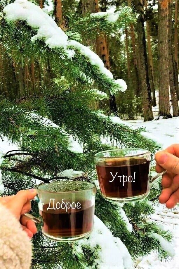 Доброе Утро!