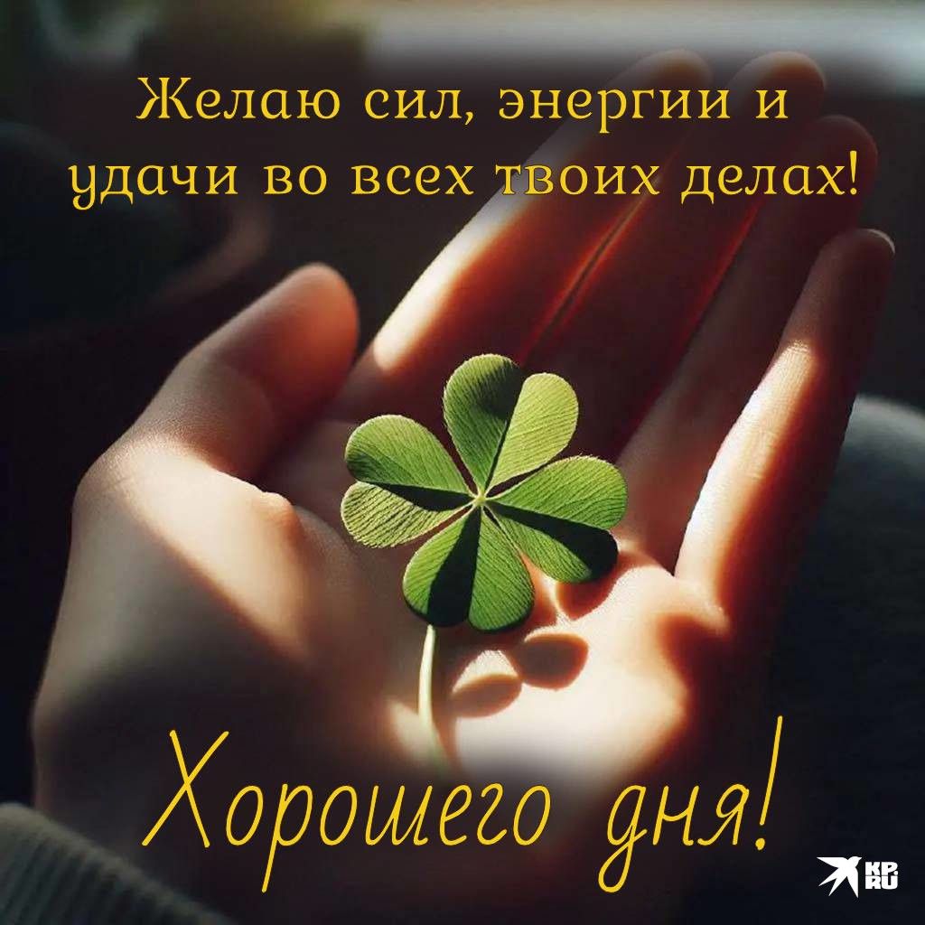 Желаю сил, энергии и удачи во всех твоих делах! Хорошего дня!
