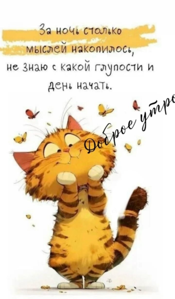 За ночь столько мыслей накопилось, не знаю с какой глупости и день начать. Доброе утро