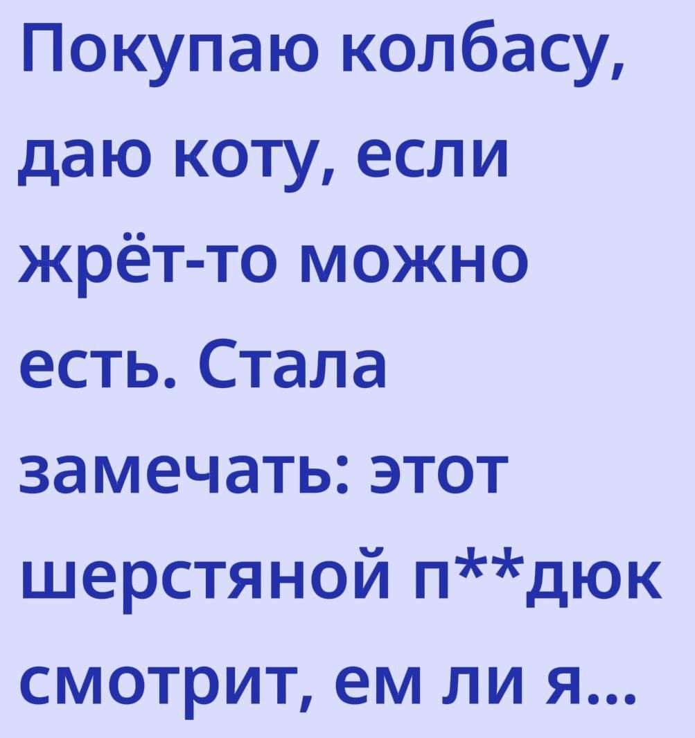 Покупаю колбасу, даю коту, если жрёт-то можно есть. Стала замечать: этот шерстяной п**дюк смотрит, ем ли я...