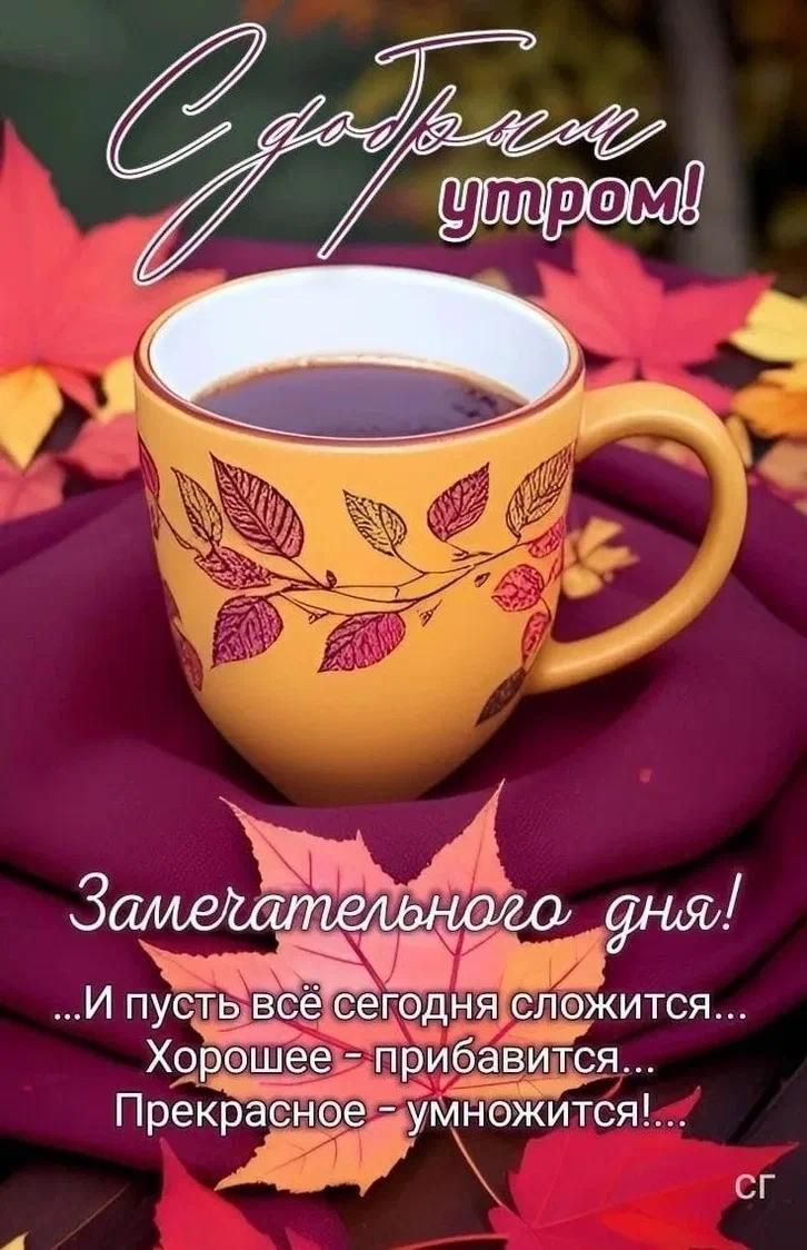 С добрым утром! Замечательного дня! ...И пусть всё сегодня сложится... Хорошее - прибавится... Прекрасное - умножится!...