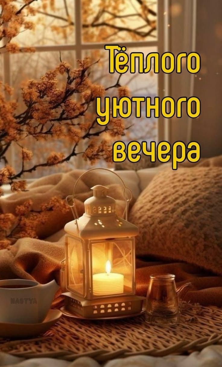 Тёплого уютного вечера